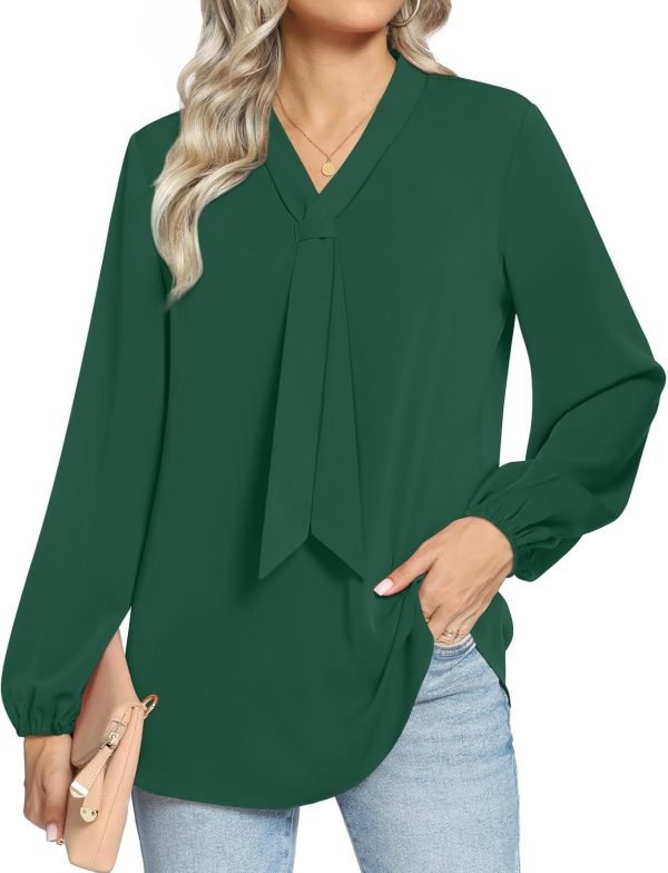 Women's Fall Long Sleeve Chiffon Blouse Winter V-Neck Tunic Tops Business Shirt