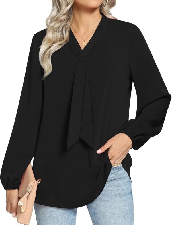 Women's Fall Long Sleeve Chiffon Blouse Winter V-Neck Tunic Tops Business Shirt