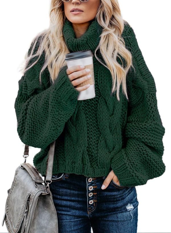 Womens 2024 Winter Fall Solid Turtleneck High Neck Balloon Long Sleeve Sweaters Pullover Outerwear